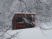 SnowShed